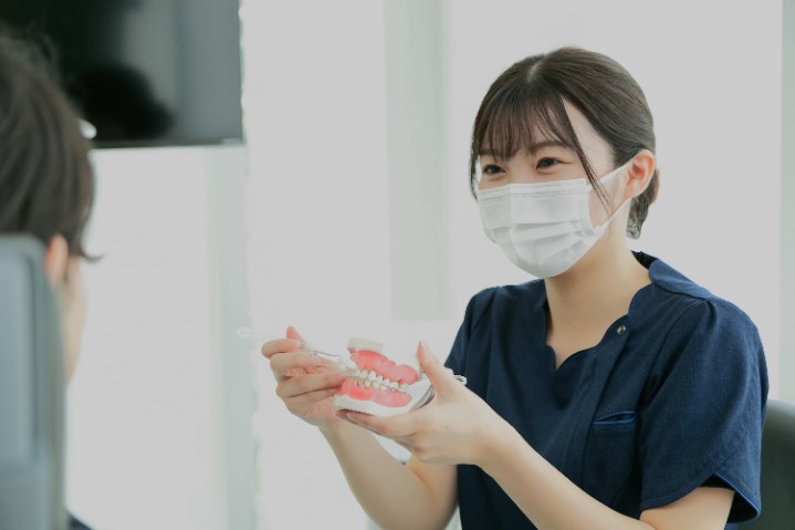 東京都渋谷区代官山の歯医者・歯科「代官山WADA歯科・矯正歯科」|photo